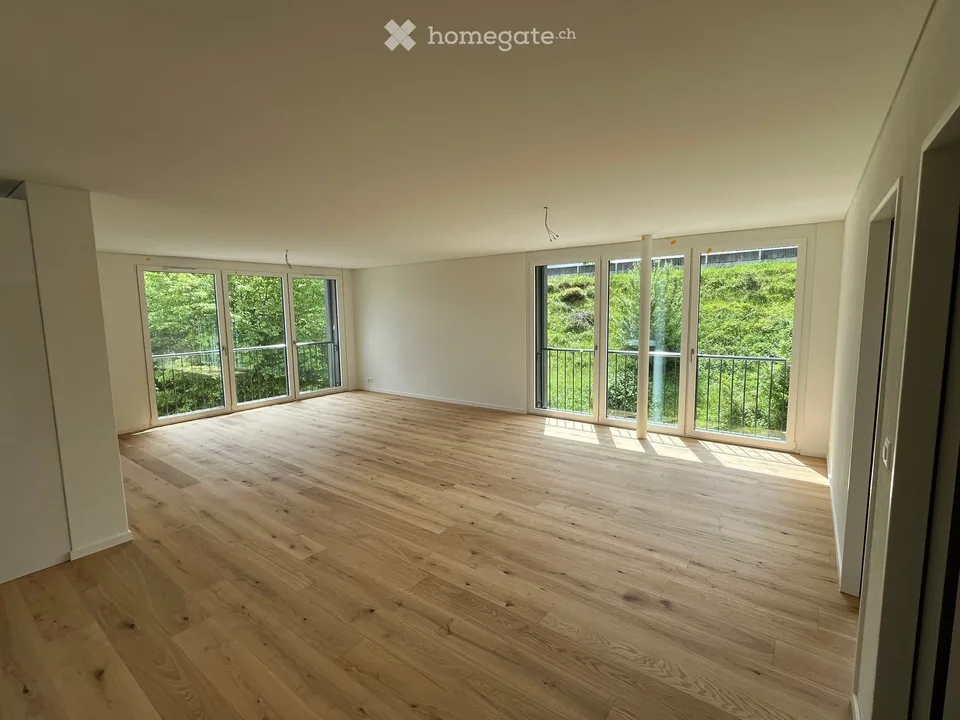Loft in Brugg AG