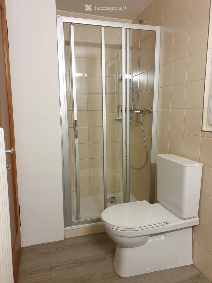 Nachmieter gesucht für heimelige Wohnung