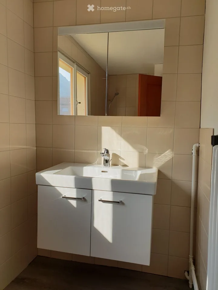 Nachmieter gesucht für heimelige Wohnung