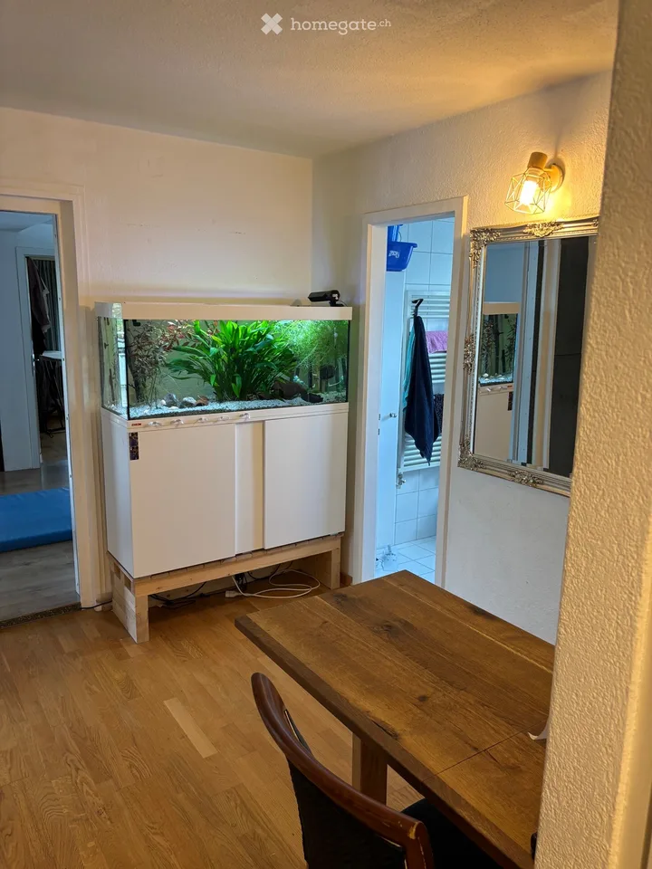 Shared flat 2 rooms for one man