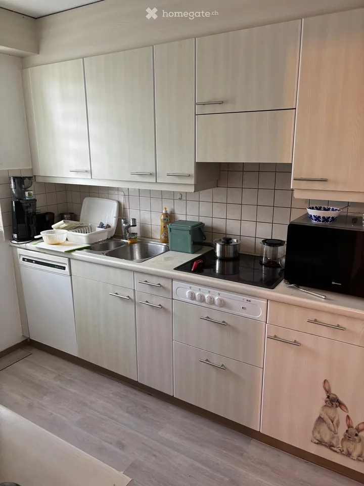 Shared flat 2 rooms for one man