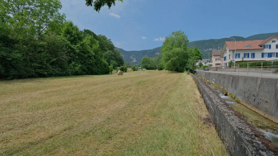 1'691 m² Landparzelle in Langendorf