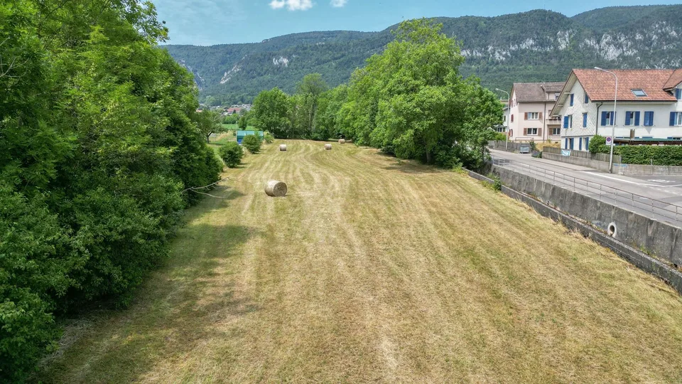 1'691 m² Landparzelle in Langendorf