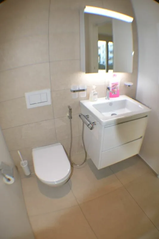 Vermietung Wohnung Duplex-/Maisonette-Wohnung 9320 Arbon