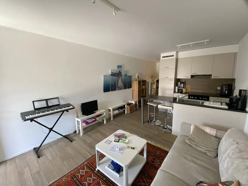 Furnished attic apartment with 2 rooms and terrace.
