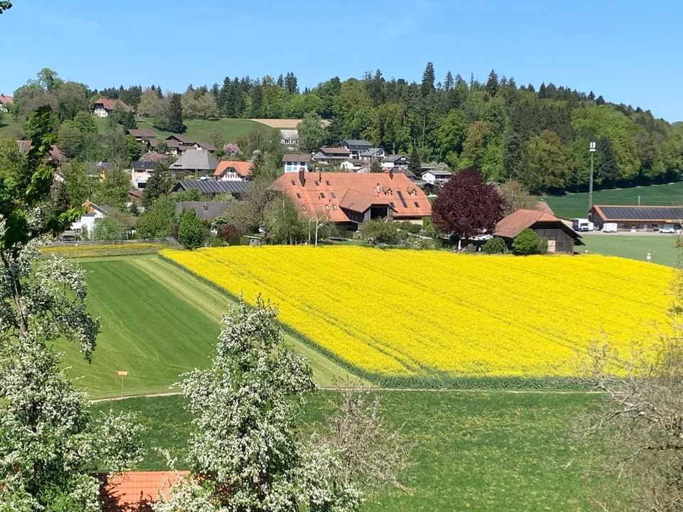 *** Tag der offenen Tür *** Grandios 228 m2! *** Stalderhof Seeberg! *** 105 m2 Wohn/Esszimmer! ***