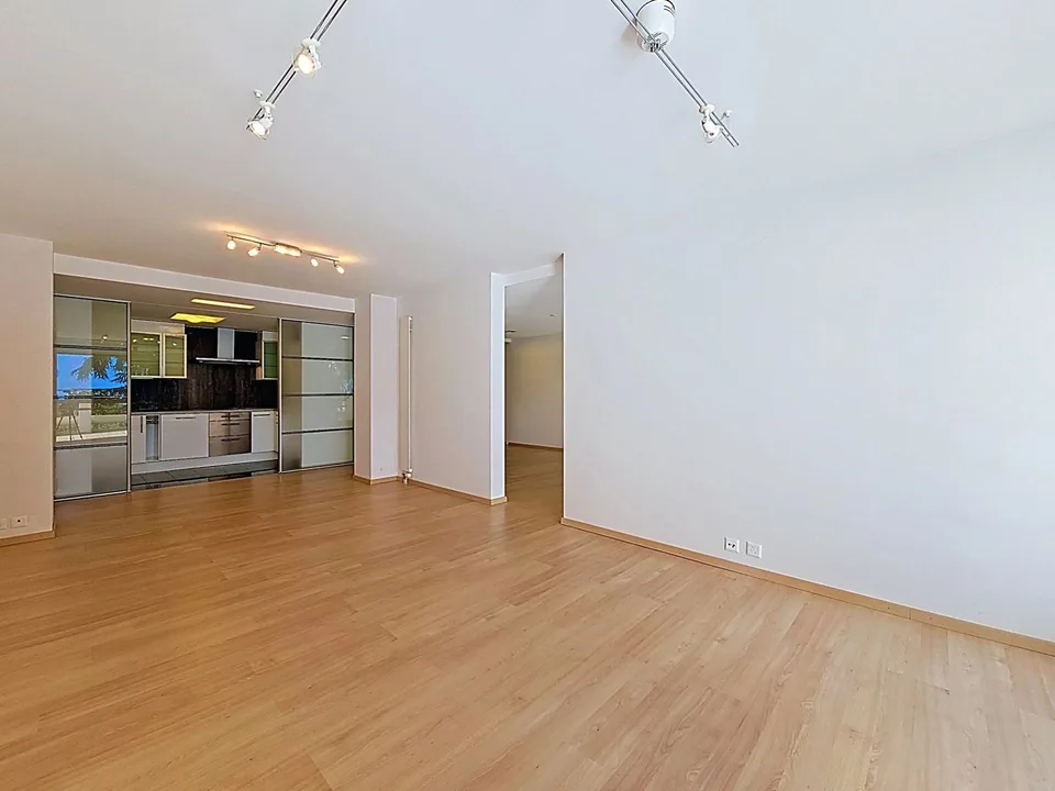 Superb apartment on the quays of Montreux