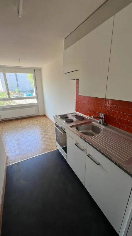 schöne helle  2 1/2 Zimmer Wohnung