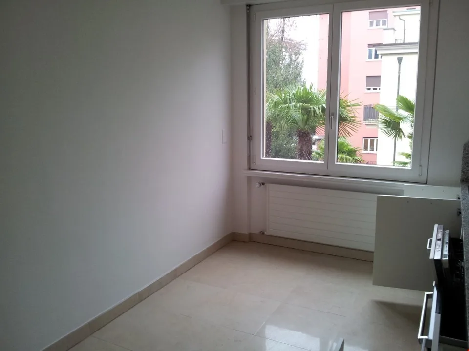 Appartamento nuovo in viale Giuseppe Cattori 10, Lugano