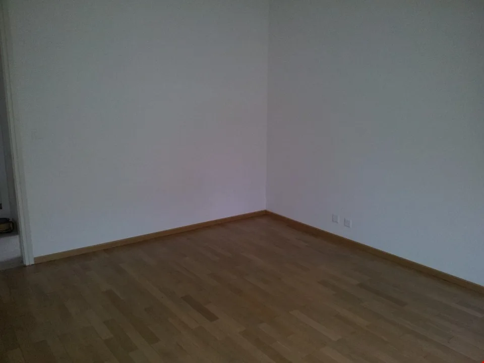 Appartamento nuovo in viale Giuseppe Cattori 10, Lugano