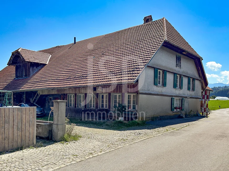 Ungewöhnliche 4.5 Zimmer Wohnung mit grosszügiger Galerie