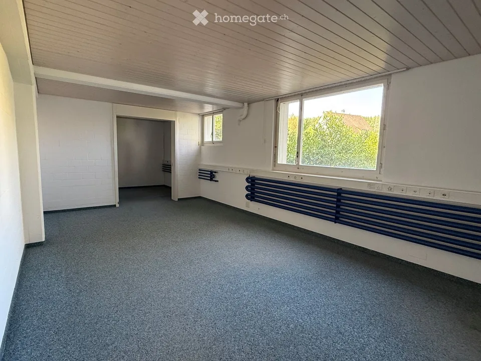 Proprietà commerciale a Windisch