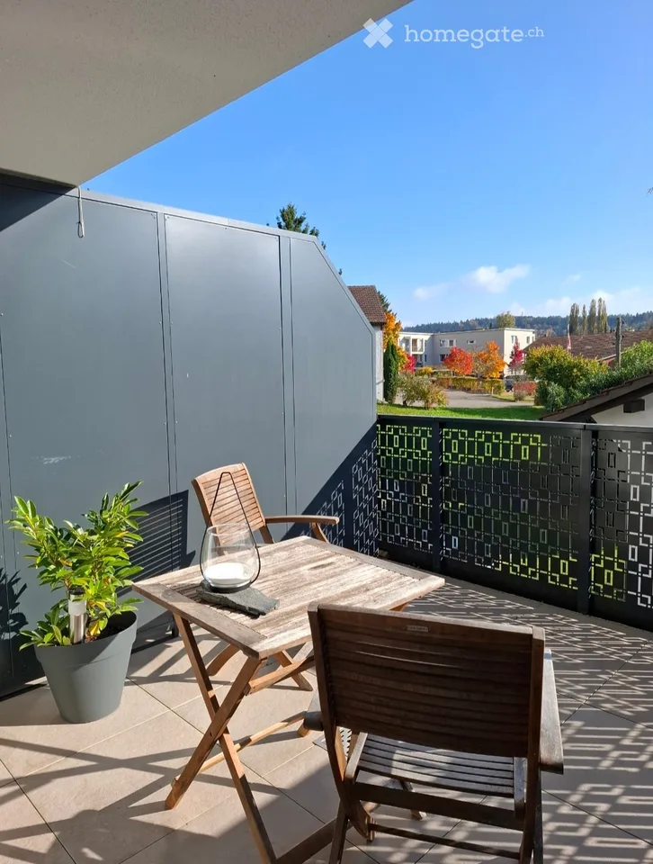 Moderne 2.5-Zimmer-Wohnung in Rickenbach Sulz – Neubau mit Balkon und Lift