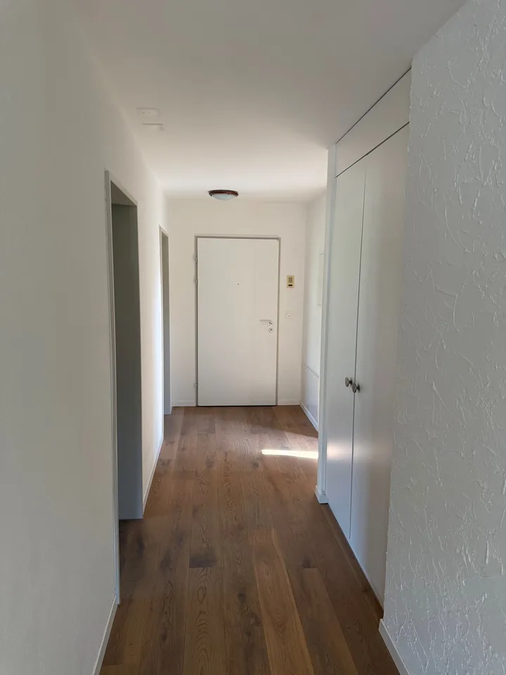 Appartement mansardé de 3,5 pièces avec vue panoramique à Egg (ZH)