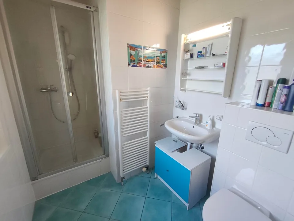 Character villa in Saint-Maurice – 5.5 rooms with view and large plot