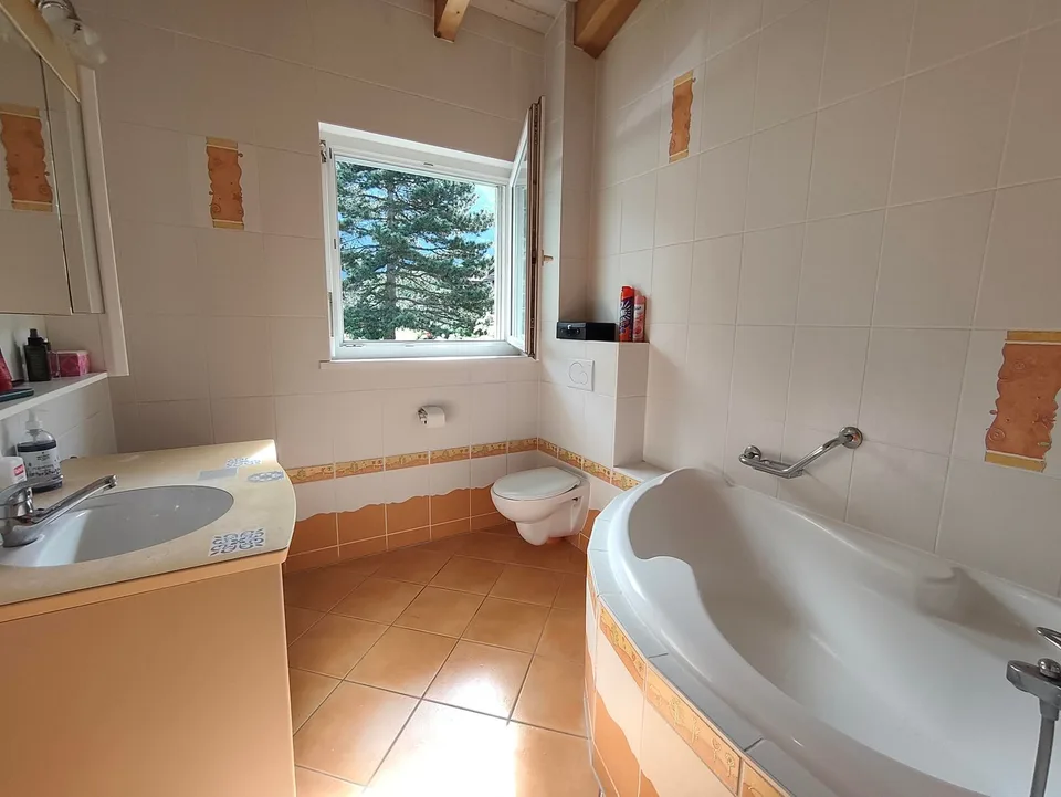 Character villa in Saint-Maurice – 5.5 rooms with view and large plot