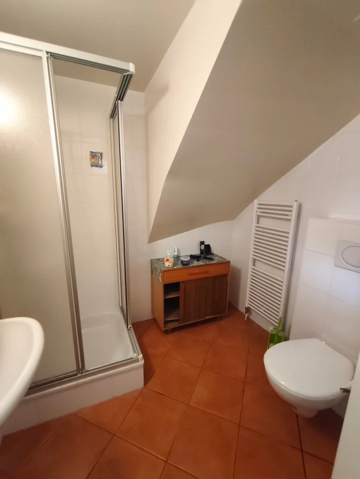 Character villa in Saint-Maurice – 5.5 rooms with view and large plot