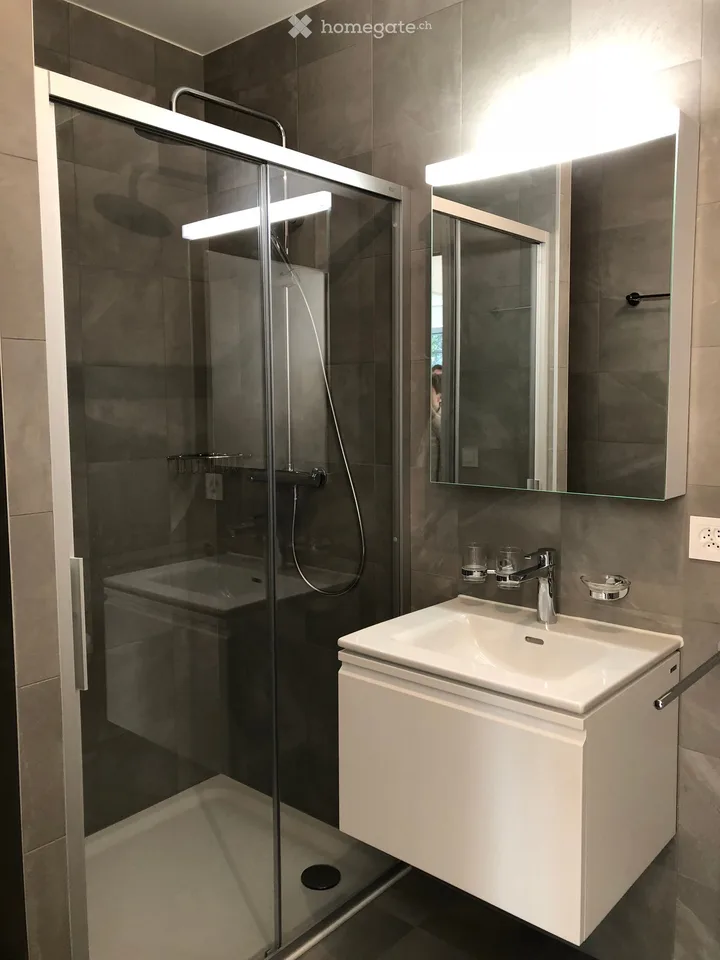 Magnifique appartement quartier Frontenex/Eaux-Vives