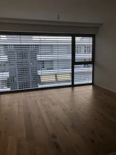 Magnifique appartement quartier Frontenex/Eaux-Vives