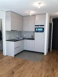 Magnifique appartement quartier Frontenex/Eaux-Vives