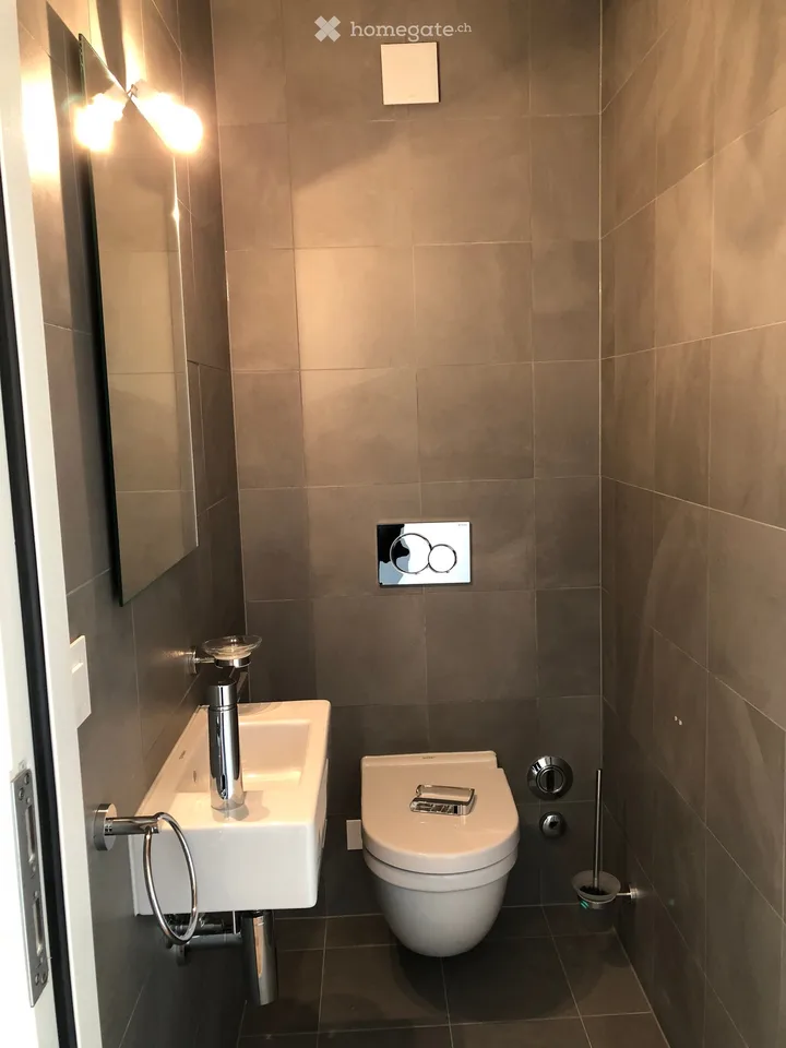 Magnifique appartement quartier Frontenex/Eaux-Vives