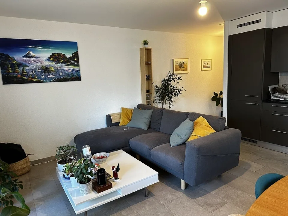 Modern 2-room apartment with balcony in Lausanne-Sévelin