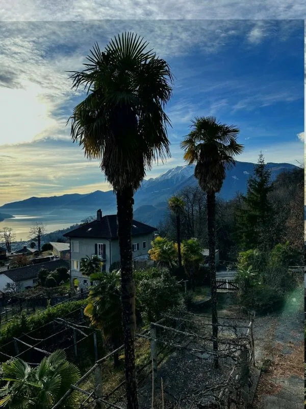 Porta al Paradiso - Locarno Monti - Appartamento penthouse 5,5 locali Attico (W14)