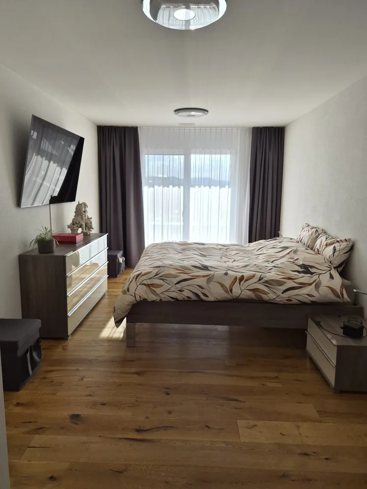Modern 4.5-room attic apartment with countryside view