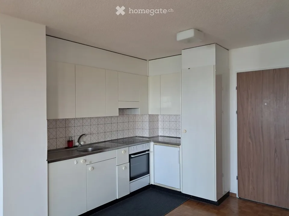 Charmant appartement de 1.5 pièces avec vue, Avenue du Grey – Lausanne