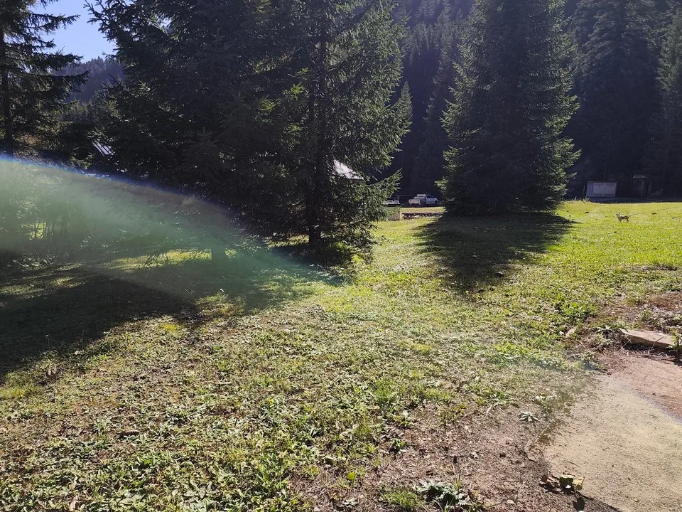 Chalet with 3.5 rooms for sale in Conthey – Alpine charm