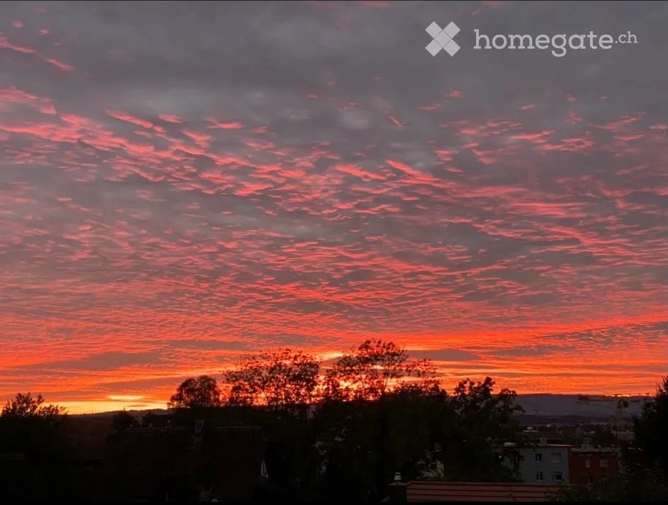 Charmante 5-Zimmer-Wohnung mit Balkon und herrlicher Aussicht in Baar