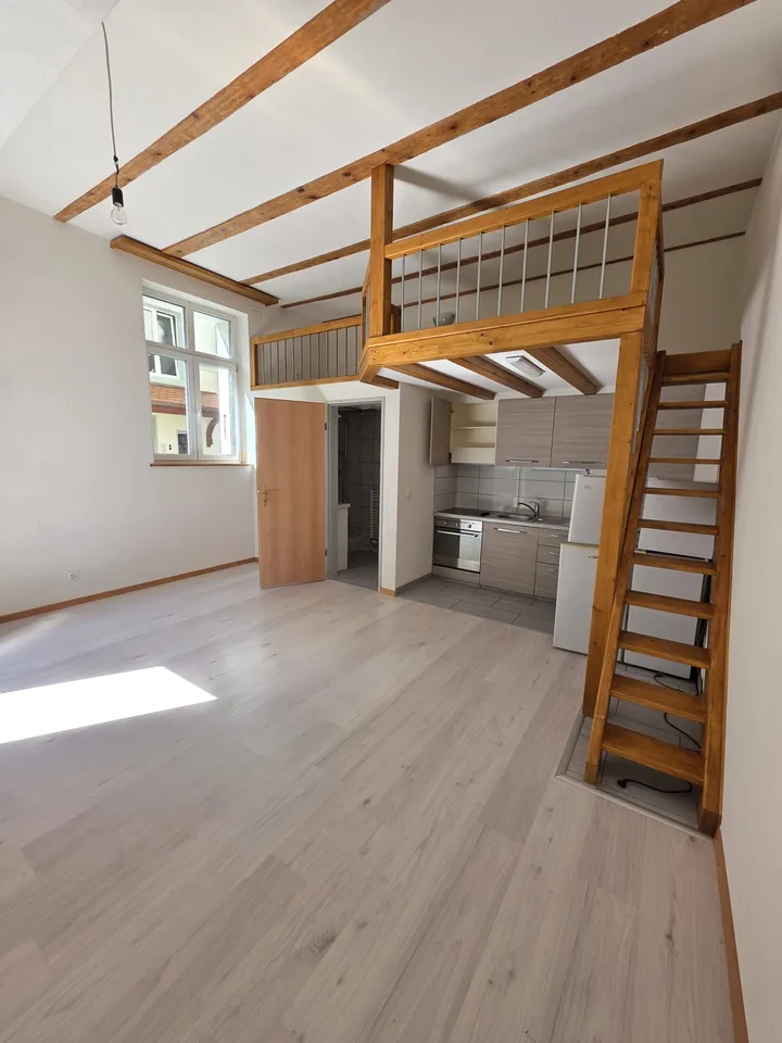 Sehr zentrales Studio im EG in der Stadt Thun