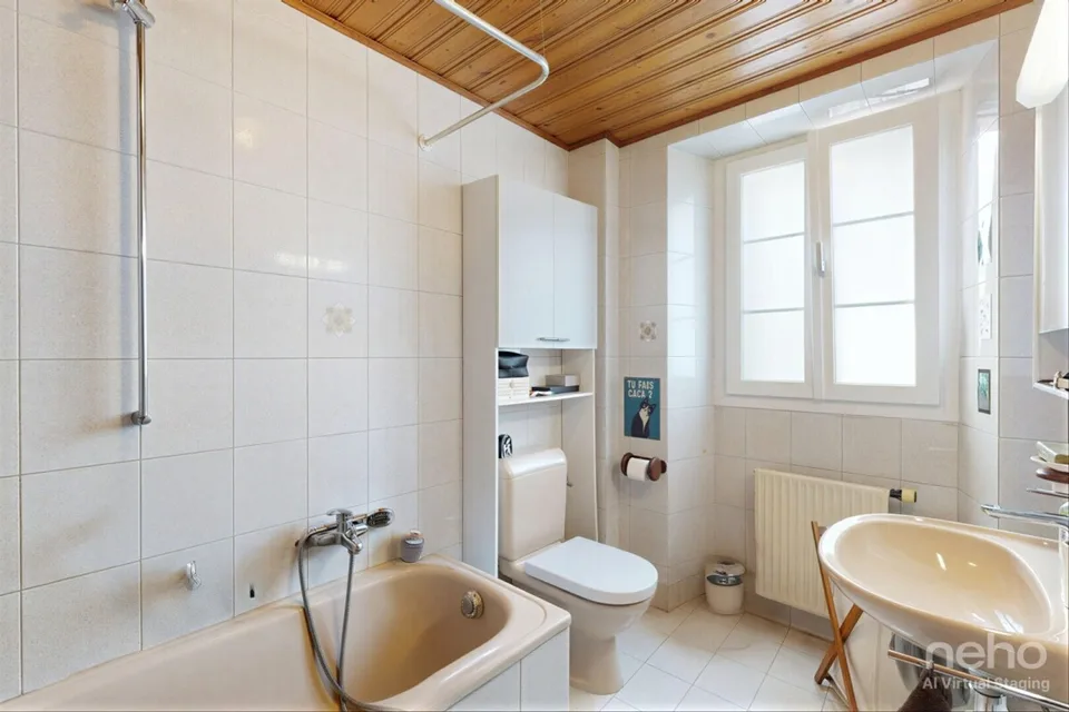 Unique investment opportunity in the heart of the Vaud Chablais!