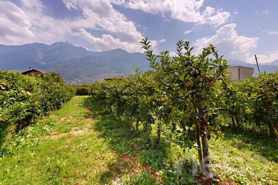 Magnificent buildable plot of 782 m² in Fully ? Beautiful potential
