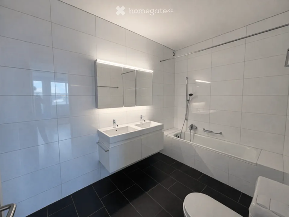 3.5-Zimmer-Terrassenwohnung - Ihre Traumaussicht in Kilchberg
