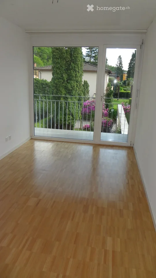 Sunny Triplex in Ponte Capriasca