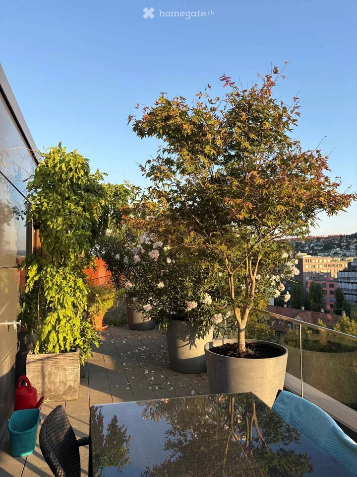Beautiful 3.5 attic apartment on Pfingstweidstrasse 104D, quiet, roof terrace, sunny, private