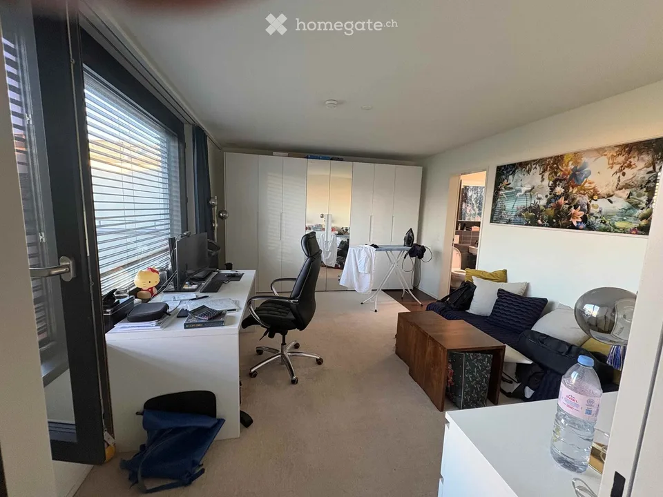 Beautiful 3.5 attic apartment on Pfingstweidstrasse 104D, quiet, roof terrace, sunny, private