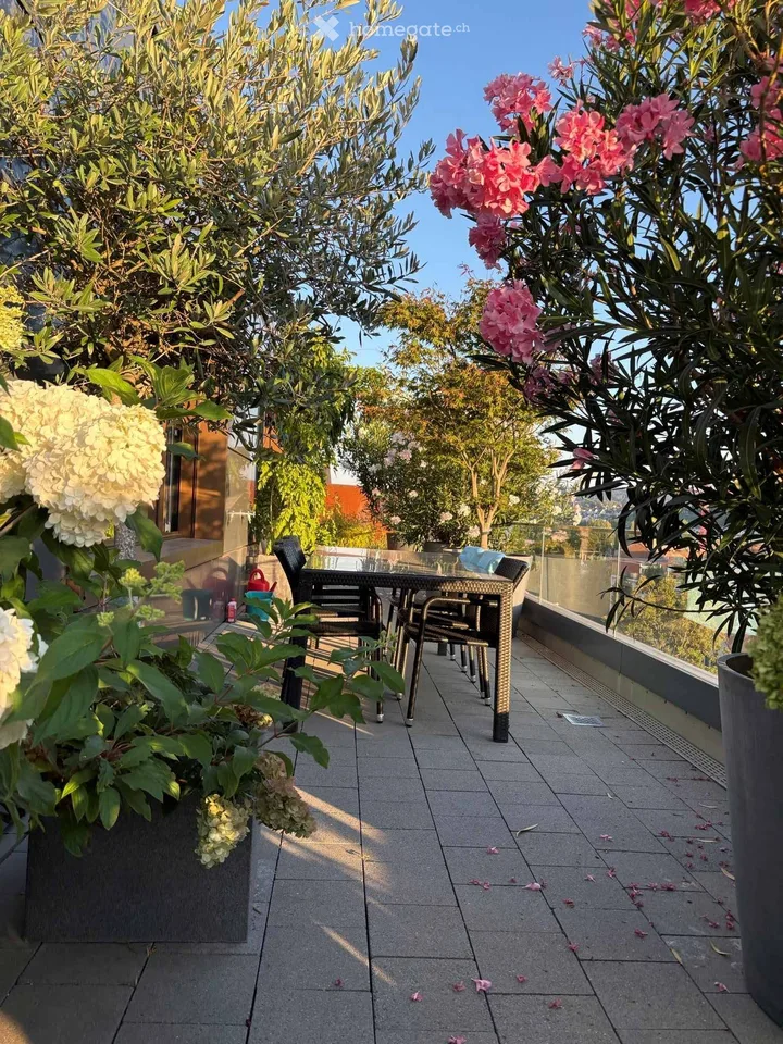 Beautiful 3.5 attic apartment on Pfingstweidstrasse 104D, quiet, roof terrace, sunny, private