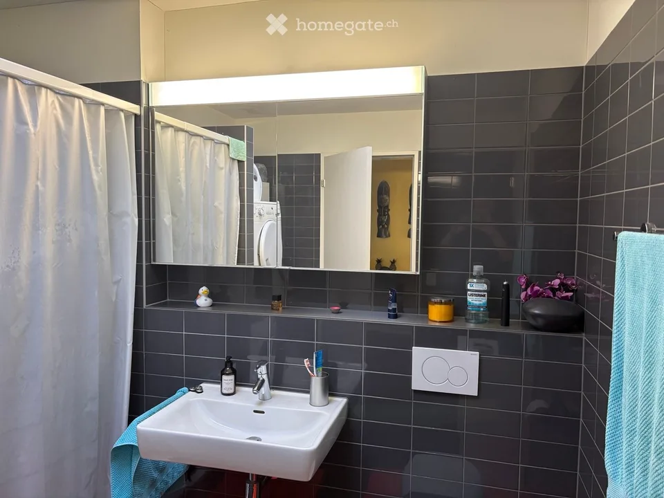 Beautiful 3.5 attic apartment on Pfingstweidstrasse 104D, quiet, roof terrace, sunny, private