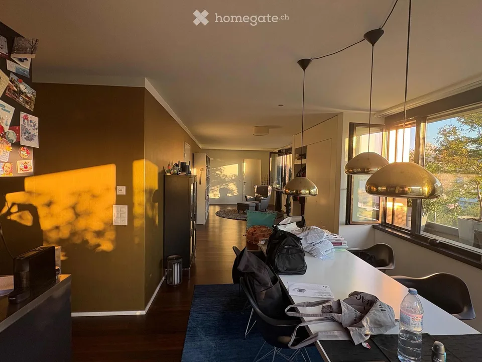 Beautiful 3.5 attic apartment on Pfingstweidstrasse 104D, quiet, roof terrace, sunny, private
