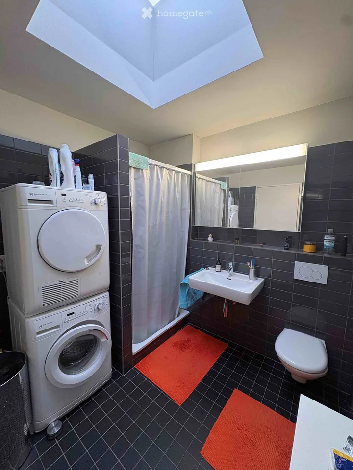 Beautiful 3.5 attic apartment on Pfingstweidstrasse 104D, quiet, roof terrace, sunny, private