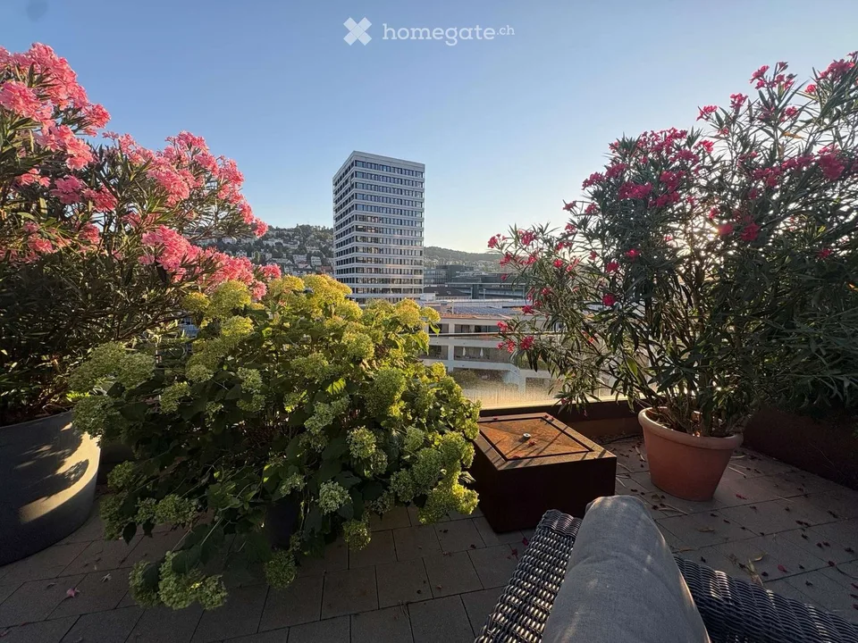 Wunderschöne 3.5-Attikawohnung an der Pfingstweidstrasse 104D, ruhig, Dachterrasse, sonnig, privat