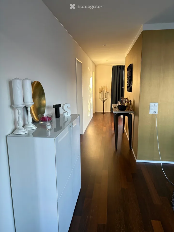 Beautiful 3.5 attic apartment on Pfingstweidstrasse 104D, quiet, roof terrace, sunny, private
