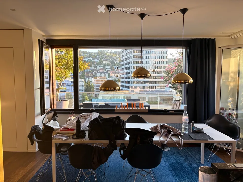 Beautiful 3.5 attic apartment on Pfingstweidstrasse 104D, quiet, roof terrace, sunny, private