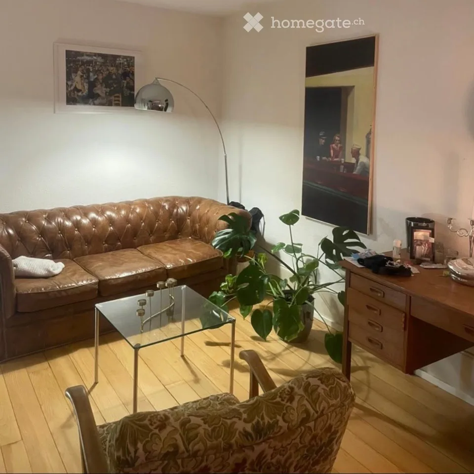 Delizioso monolocale di 1.5 locali nel cuore di Friburgo