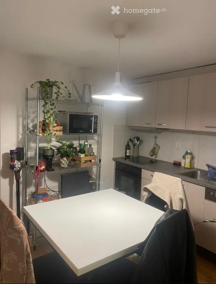 Delizioso monolocale di 1.5 locali nel cuore di Friburgo
