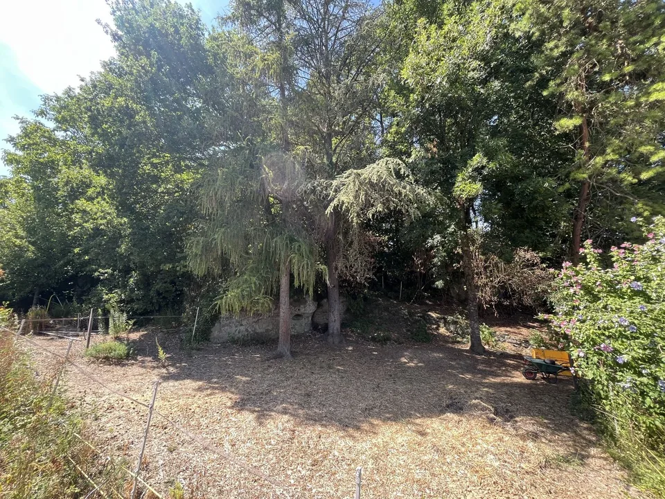 For DIY enthusiasts and nature lovers