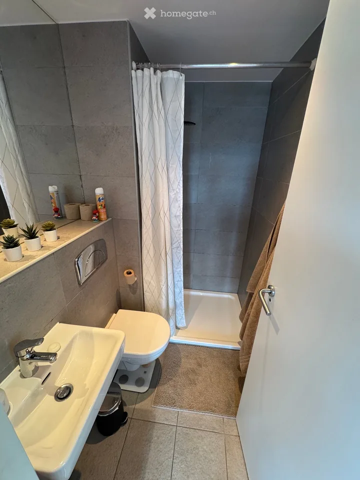 Reprise de bail : Appartement 3.5 pièces meublé