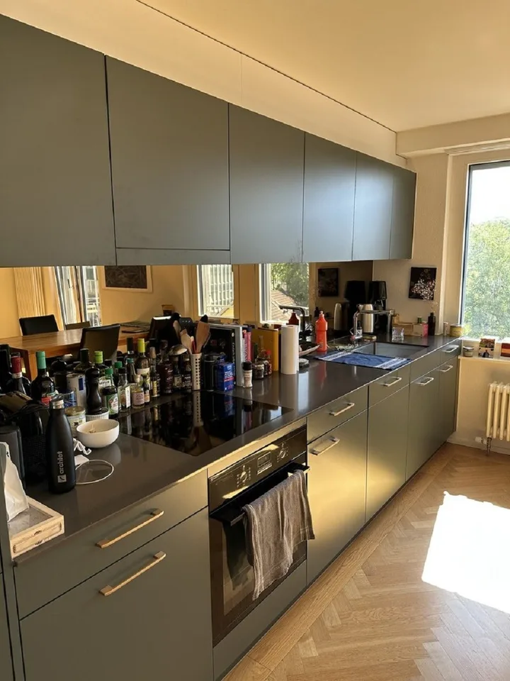 Charming 2.5-room apartment on Langstrasse in Zurich